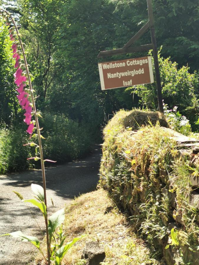 Wellstone Cottages - Ivy Llanfyrnach Eksteriør bilde